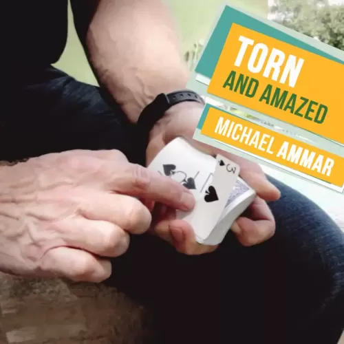 Torn & Amazed by Michael Ammar