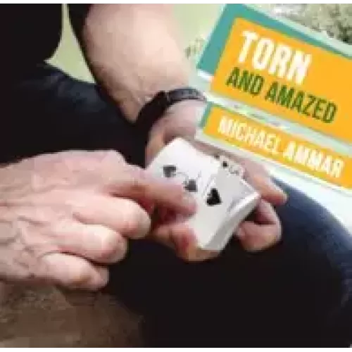 Torn And Amazed by Michael Ammar