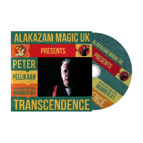 Transcendence by Peter Pellikaan