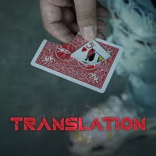 Translation by Sansminds Creative Lab