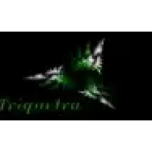 Triquetra by Tom Phoenix