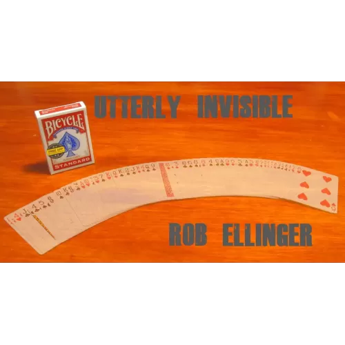 Utterly Invisible by Rob Ellinger