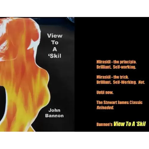 View To A Skill by John Bannon