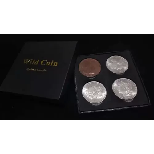 Wild Coins by Chinam Leung