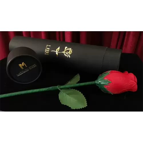 Y-Rose by Mr. Y & Bond Lee