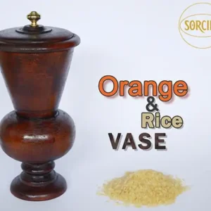 Sorcier Magic – Orange and Rice Vase