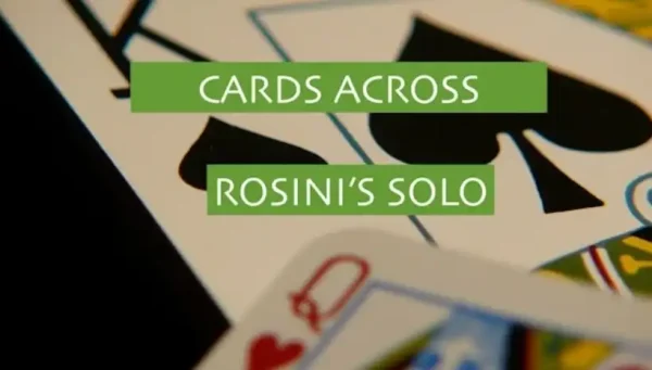 Paul Rosini’s SOLO, A Card in Flight by Steve Valentine