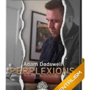 Perplexions by The 1914 and Adam Dadswell