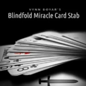Vynn Boyar – Blindfold Miracle Card Stab