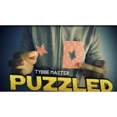 Puzzled by Tybbe Master