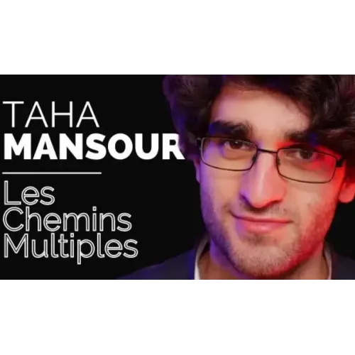 Les Chemins Multiples by Taha MANSOUR