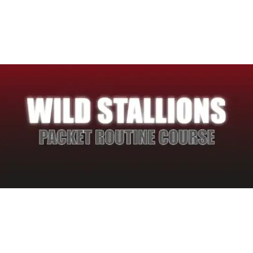 Craig Petty – Wild Stallions