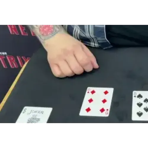 Craig Petty – Pool Ball Wild Card