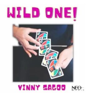 Vinny Sagoo – WILD ONE