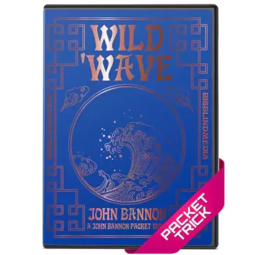 Wild Wave (Blackpool 2023) By John Bannon