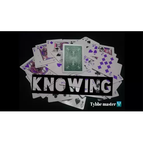 Knowing by Tybbe Master