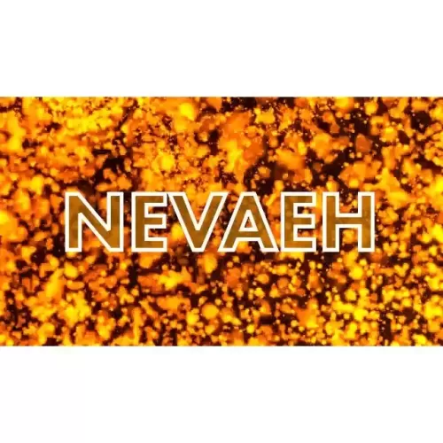 The Nevaeh Principle By Lance Bowen