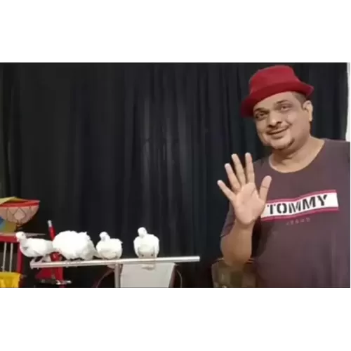 How to Train Your Doves By Sachin.K.M
