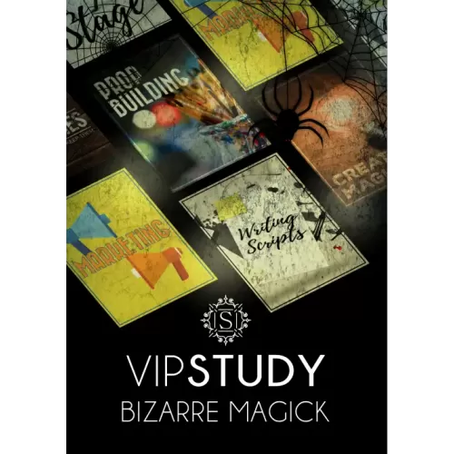 Bizarre Magic Lesson By Jamie Daws
