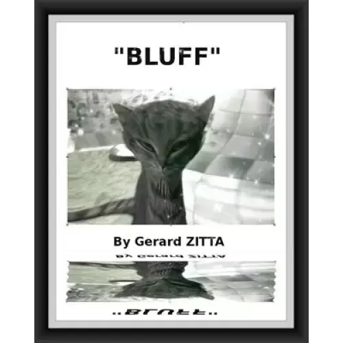 Bluff by Gerard Zitta