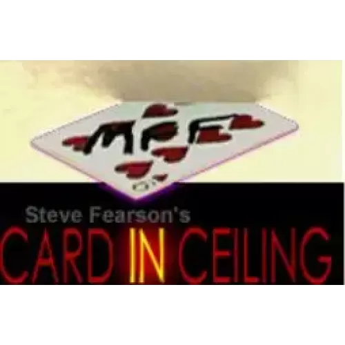 Card In Ceiling by Steve Fearson