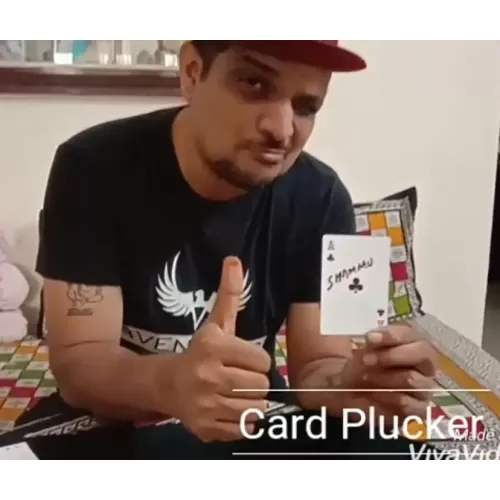 Card Plucker by Sachin.K.M