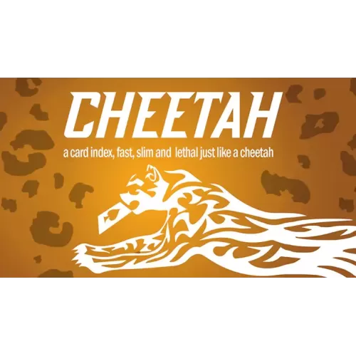 Cheetah by Berman Dabat & Michel & Vernet