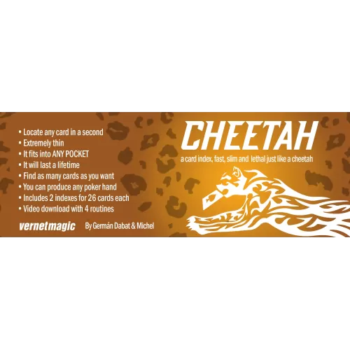 Cheetah by German Dabat & Michel