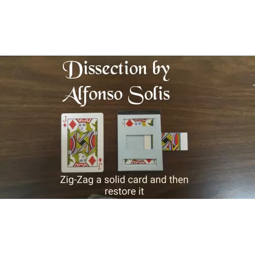 Dissection by Alfonso Solis