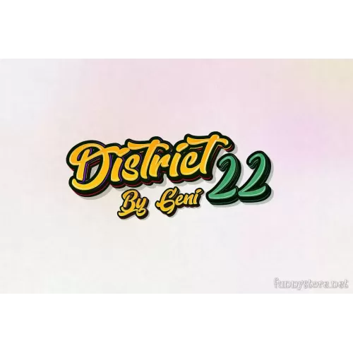 District 22 by Geni