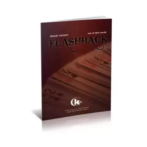 Flashback (Ebook) by Dani Daortiz