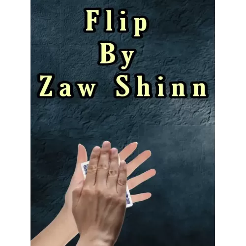 Flip by Zaw Shinn