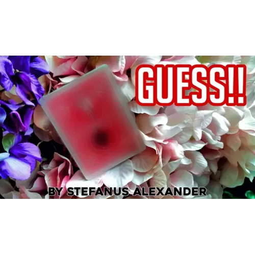 Guess by Stefanus Alexander