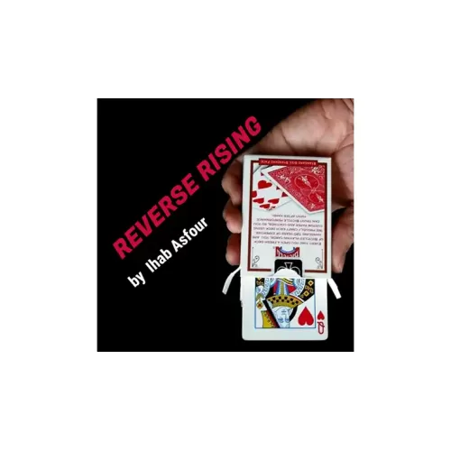 Ihab Asfour - Reverse Rising (Presents By Mario Tarasini)