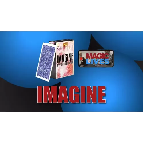 Imagine by Peter and Harry Nardi