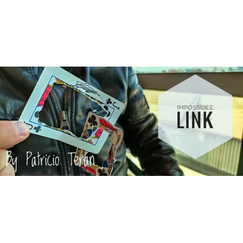 Impossible Link by Patricio Teran