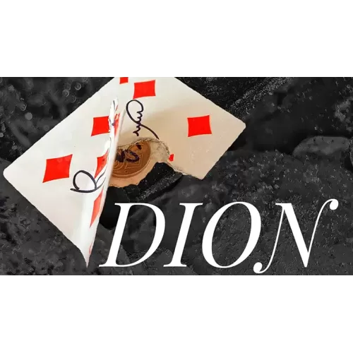 Inside by Dion