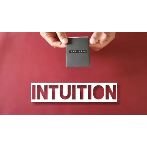 Intuition by Vinny Sagoo
