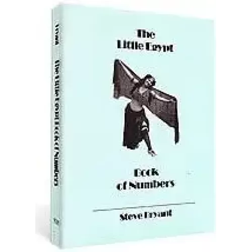 Little Egypt Book Of Numbers by Steve Bryant