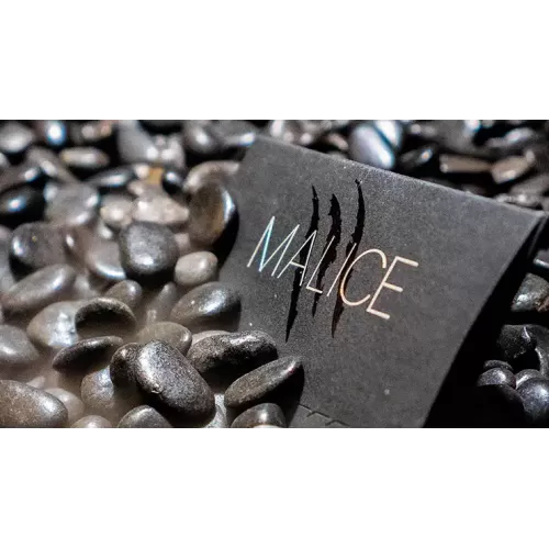 Malice by Xavior Spade