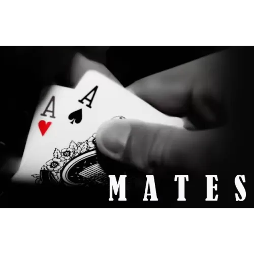 Mates by Dibya Guha
