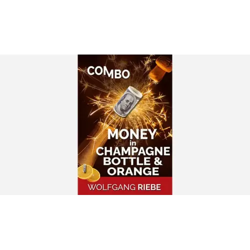 Money In Champagne Bottle & Orange by Wolfgang Riebe