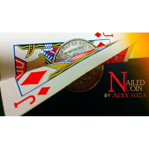 Nailed Coin by Alex Soza