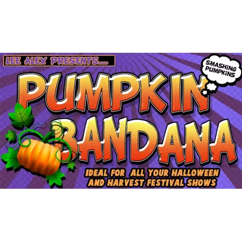 Pumpkin Bandana by Lee Alex