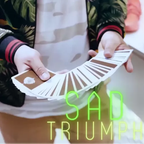 Sad Triumph by Zee J. Yan