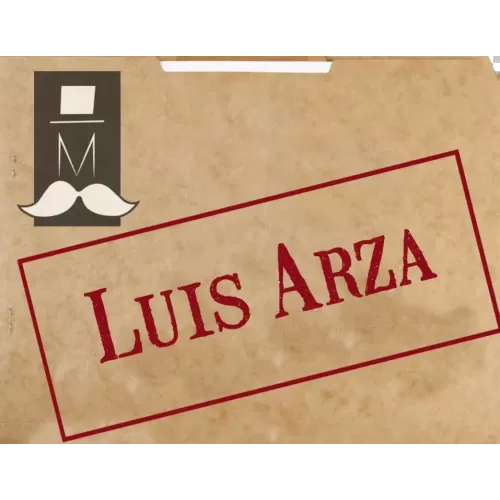 Secret File (1-3) by Luis Arza
