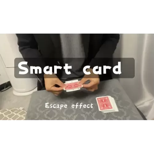 Smart Card by Dingding