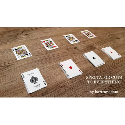 Spectator Cuts To Everything by Karttanadam