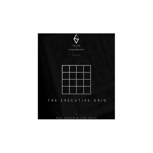 The Executive Grid by Luca Volpe And Paul Mccaig
