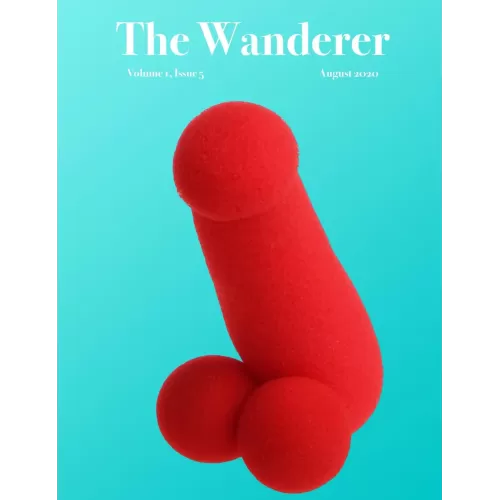 The Jerx – August 2020 – The Wanderer 1 Issue 5 by Andy